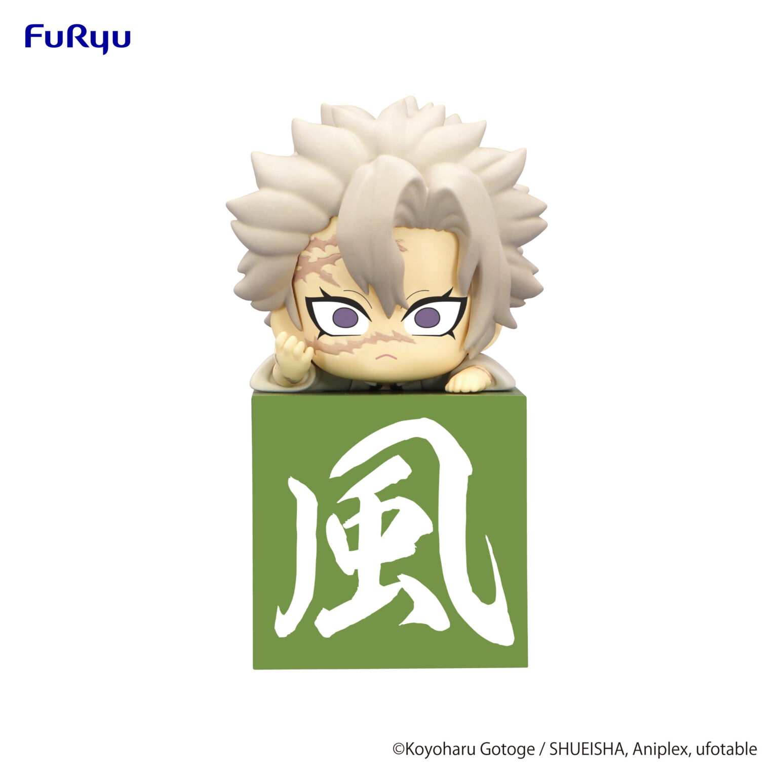 shinazugawa figure