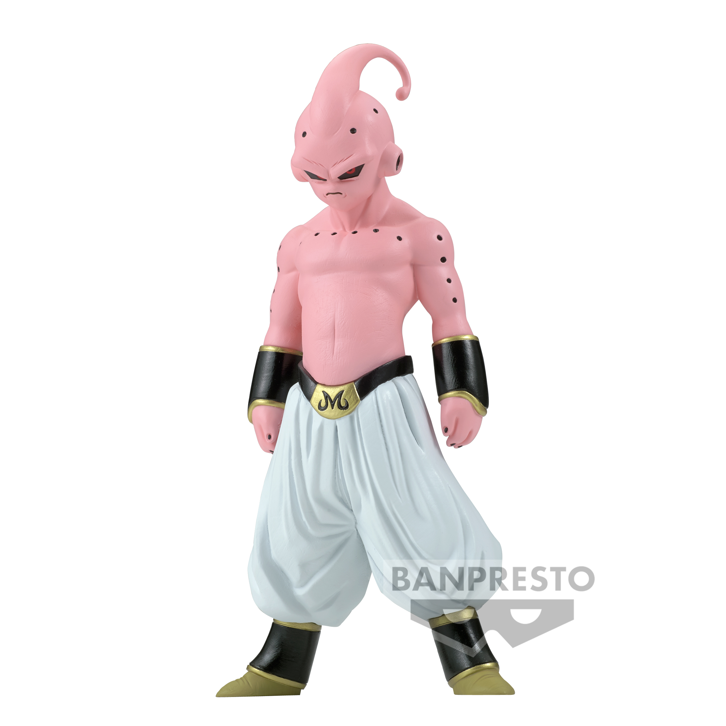 Dragon Ball Z Majin Buu Saga