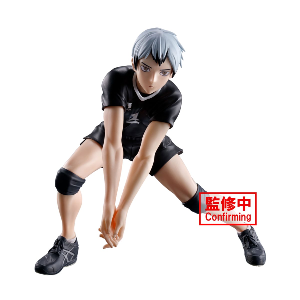 Haikyu!! Posing Figure -Shinsuke Kita-